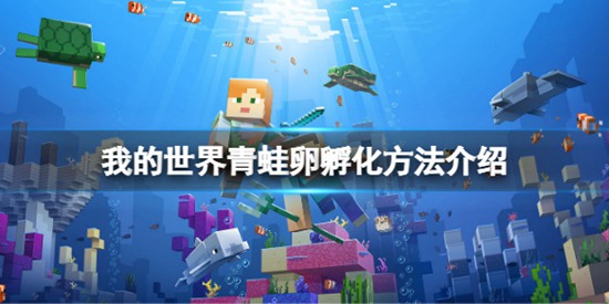 ҵô ҵѷ