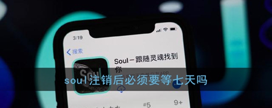 soulעҪ soulע