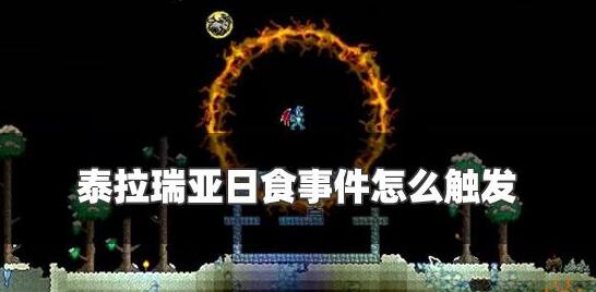 ̩ôٻʳ ʳ¼ɷ