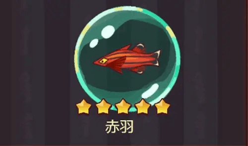 ֮칥ʲô ֿ·Ƽ