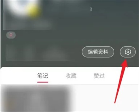 Сô޹ıʼ ޹ıʼط̳