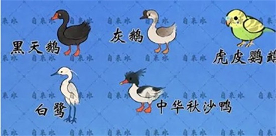 Դ˼ʳϲʲô ʳһ