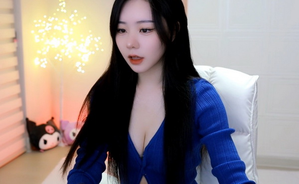 优质jy收集系统苏沫沫