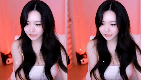 小花园想夹东西怎么办
