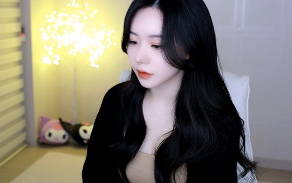 seo短视频网页入口引流