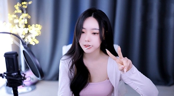 成免费crm特色学生版的特点