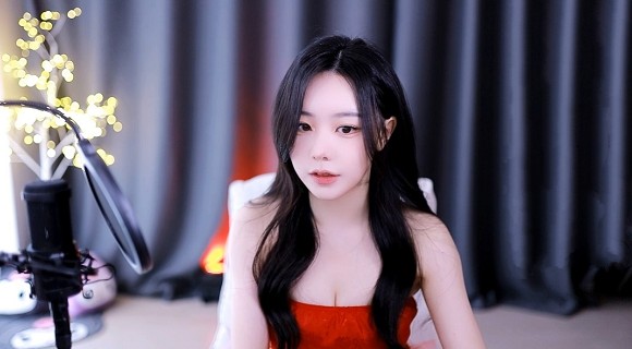 成品网站5178入口的功能介绍