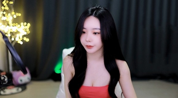 万篇长征zztt黑暗传送门2024