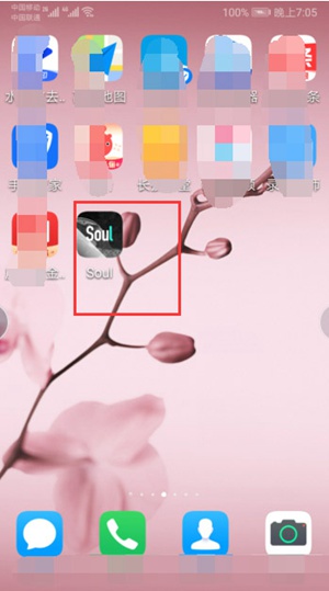 soulôsoul app̳