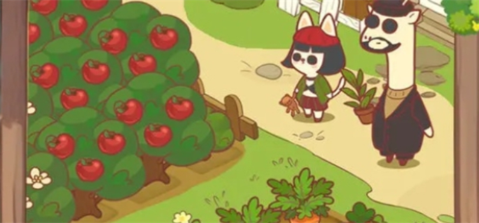 ʺ޻С깺8ô ʺ޻С깺8