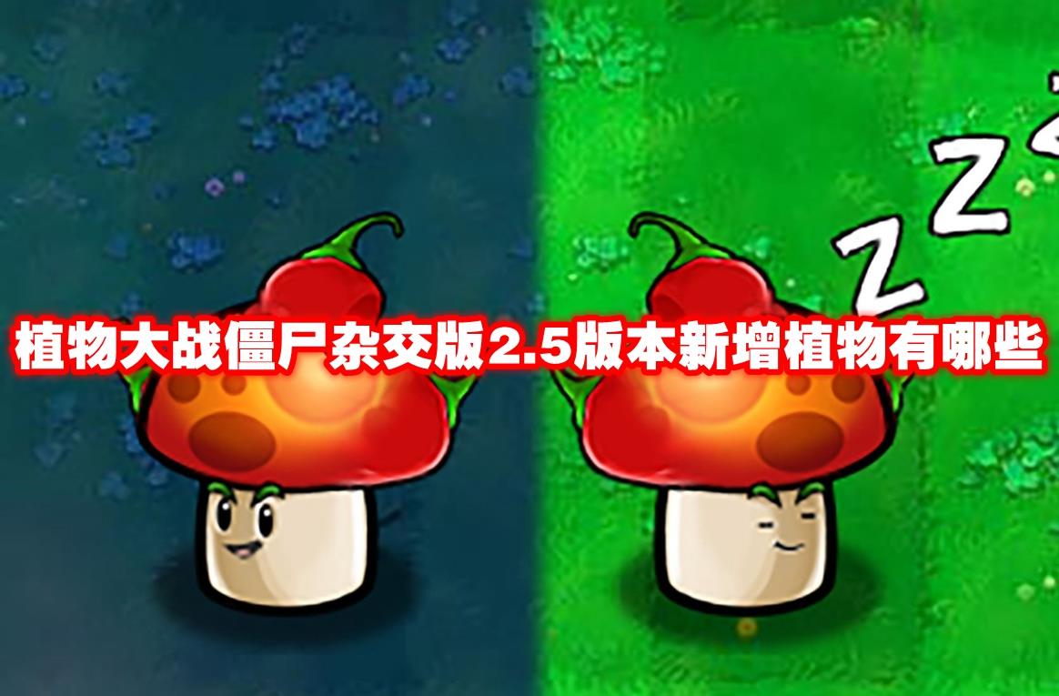 ֲսʬӽ2.5汾ֲЩ