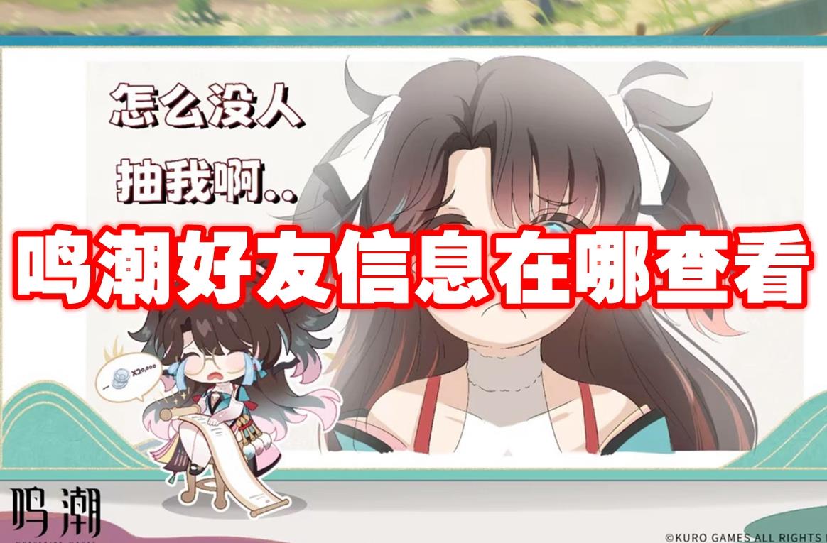 ϢĲ鿴