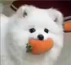 ͵кع˼