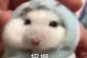 ͵кع˼