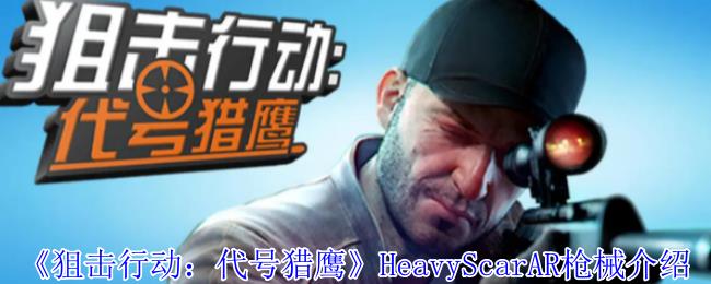 ѻжӥHeavyScarARǹе