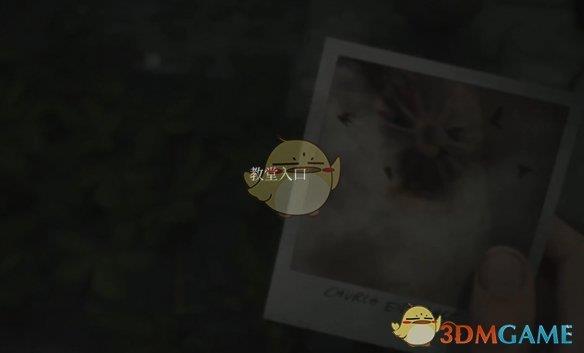 ž2ư桷Ƭ10Լλϸ