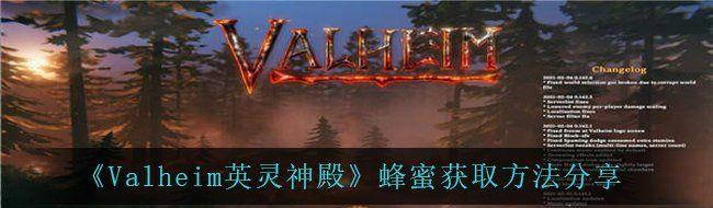 ValheimӢۻȡ