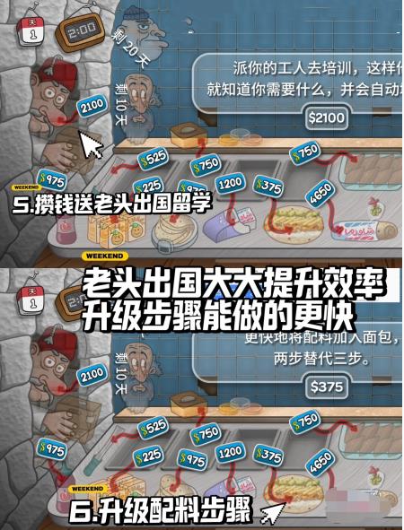 ɳ괫桷ô