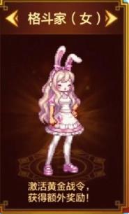 DNFΡʿս4װװչʾ