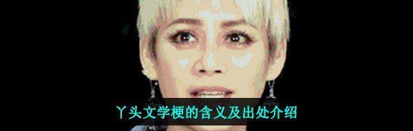 Ѿͷѧĺ弰