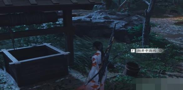 ʮ淨
