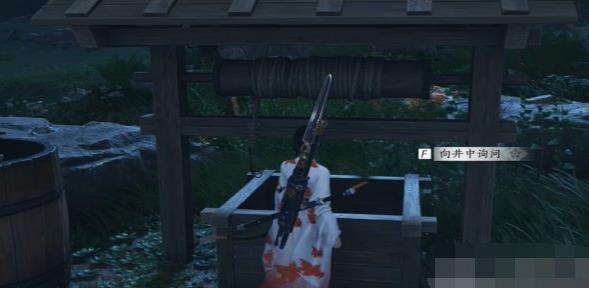 ʮ淨