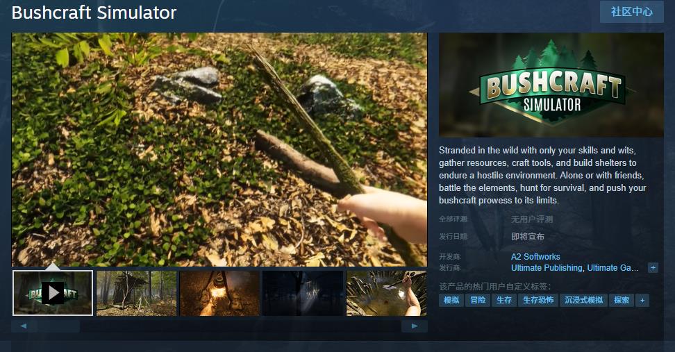 ģBushcraftSimulator½Steam1