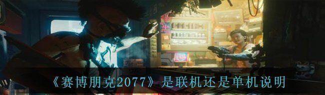 2077ǵ˵
